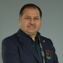 کریم بیگی